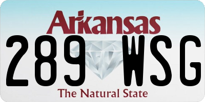 AR license plate 289WSG