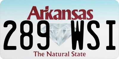 AR license plate 289WSI