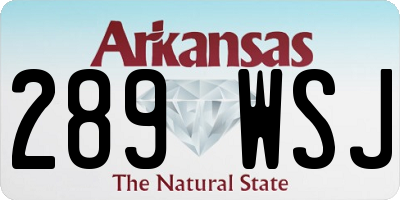 AR license plate 289WSJ