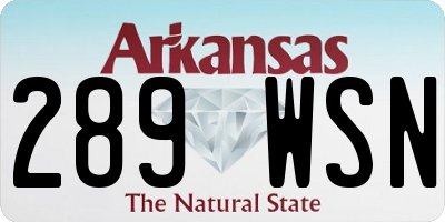 AR license plate 289WSN