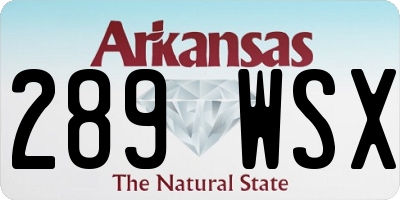 AR license plate 289WSX