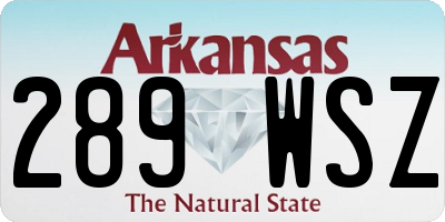 AR license plate 289WSZ