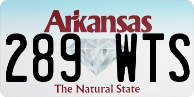 AR license plate 289WTS