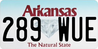 AR license plate 289WUE