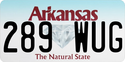 AR license plate 289WUG
