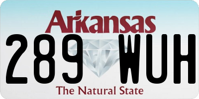 AR license plate 289WUH