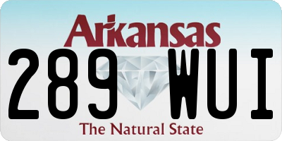 AR license plate 289WUI