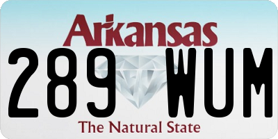 AR license plate 289WUM
