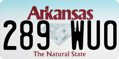 AR license plate 289WUO