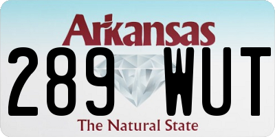 AR license plate 289WUT