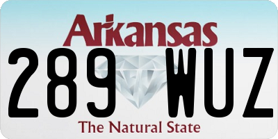 AR license plate 289WUZ