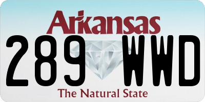 AR license plate 289WWD