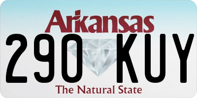 AR license plate 290KUY