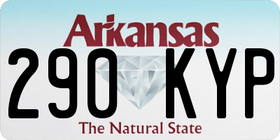 AR license plate 290KYP