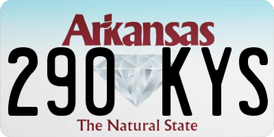 AR license plate 290KYS