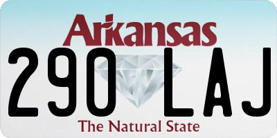 AR license plate 290LAJ