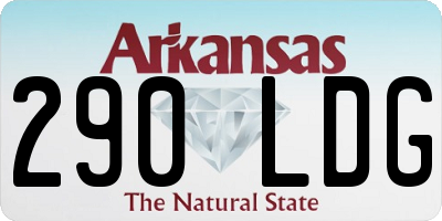 AR license plate 290LDG