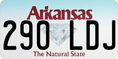 AR license plate 290LDJ