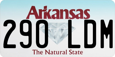 AR license plate 290LDM