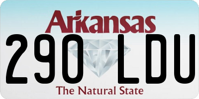 AR license plate 290LDU