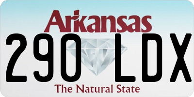AR license plate 290LDX