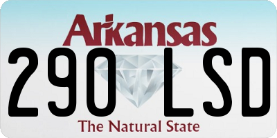 AR license plate 290LSD