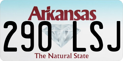 AR license plate 290LSJ