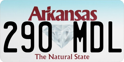 AR license plate 290MDL