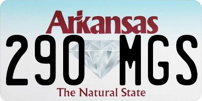 AR license plate 290MGS