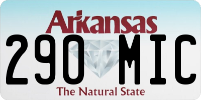 AR license plate 290MIC