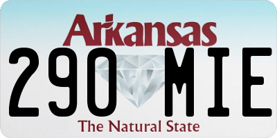 AR license plate 290MIE