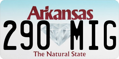 AR license plate 290MIG