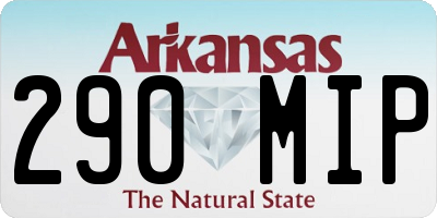 AR license plate 290MIP