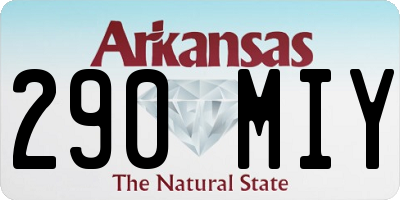 AR license plate 290MIY