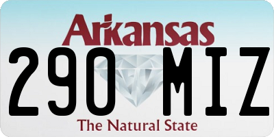 AR license plate 290MIZ