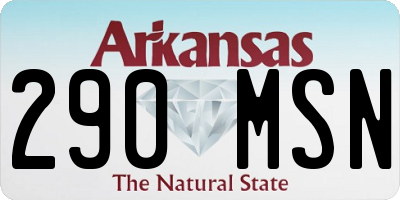 AR license plate 290MSN