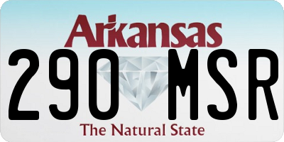AR license plate 290MSR