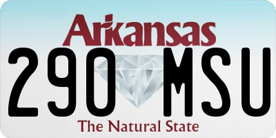 AR license plate 290MSU