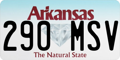 AR license plate 290MSV