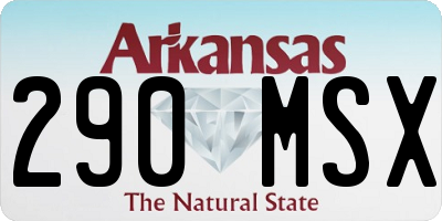 AR license plate 290MSX