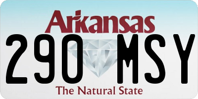 AR license plate 290MSY