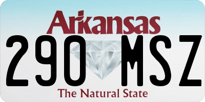 AR license plate 290MSZ