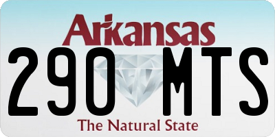 AR license plate 290MTS