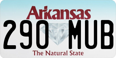 AR license plate 290MUB