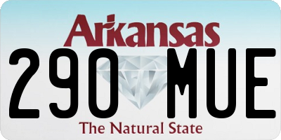 AR license plate 290MUE