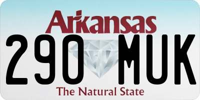 AR license plate 290MUK