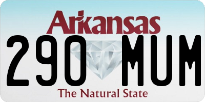 AR license plate 290MUM