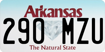 AR license plate 290MZU