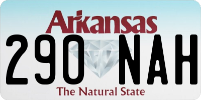 AR license plate 290NAH