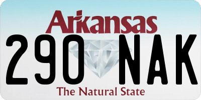AR license plate 290NAK